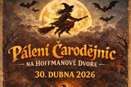 Pálení čarodejnic