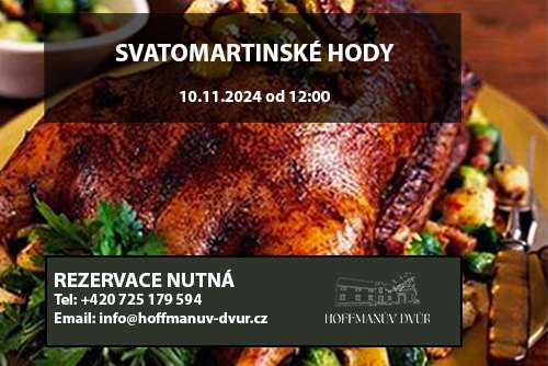 Svatomartinské hody
