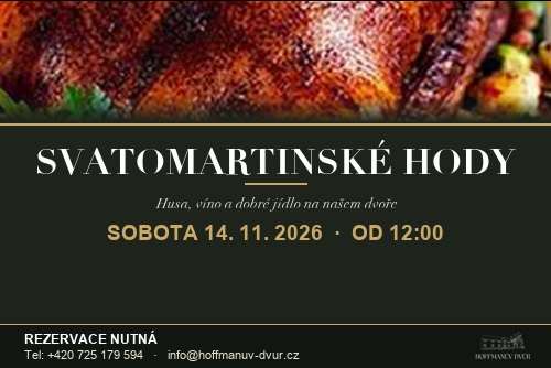 Svatomartinské hody